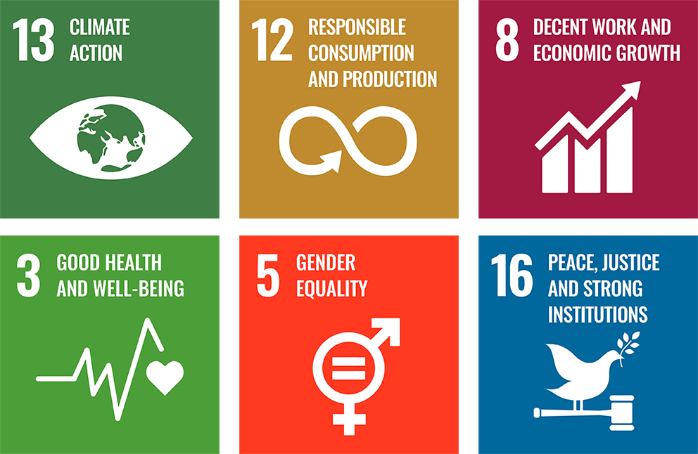 UN Sustainability Goals