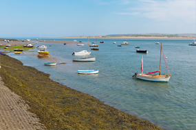 Barnstaple Image