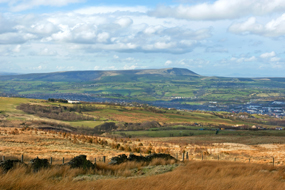 Burnley Image