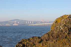 Dundee Image