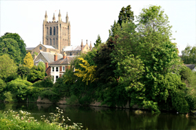 Hereford Image