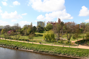 Preston Image
