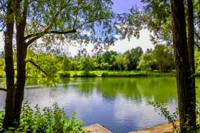 Slough Image