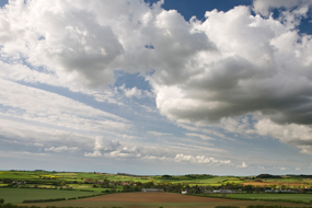 Spalding Image