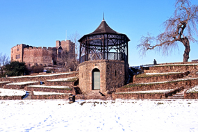 Tamworth Image