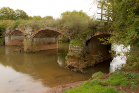 Taunton Image